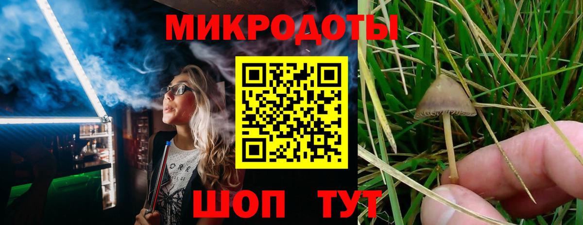 Галлюциногенные грибы мицелий  Псилоцибиновые грибы мухоморы  Дедовск  Вход с VPN 