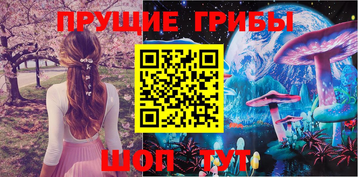 Галлюциногенные грибы MAGIC MUSHROOMS Дедовск